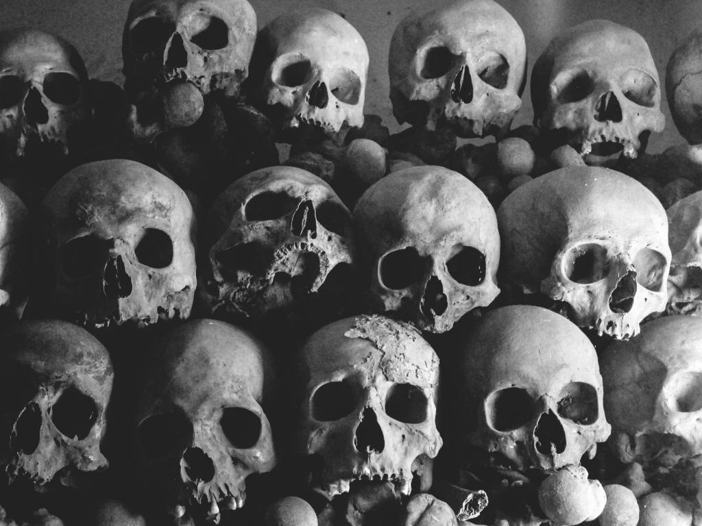 A pile of skulls stacked on top of each other.